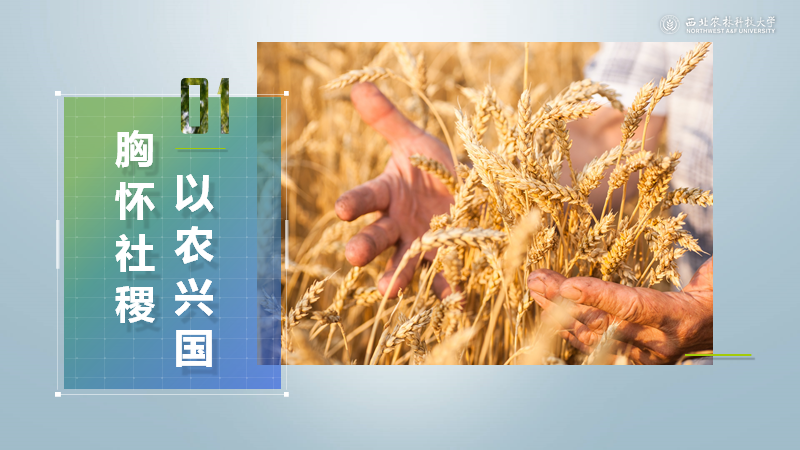 现在学校招生宣传PPT都做的这么好看啦! PPT教程 现在学校招生宣传PPT都做的这么好看啦!