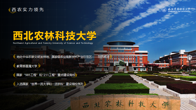现在学校招生宣传PPT都做的这么好看啦! PPT教程 现在学校招生宣传PPT都做的这么好看啦!