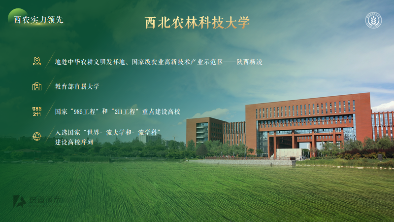 现在学校招生宣传PPT都做的这么好看啦! PPT教程 现在学校招生宣传PPT都做的这么好看啦!