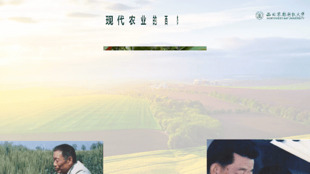 现在学校招生宣传PPT都做的这么好看啦! PPT教程 现在学校招生宣传PPT都做的这么好看啦!