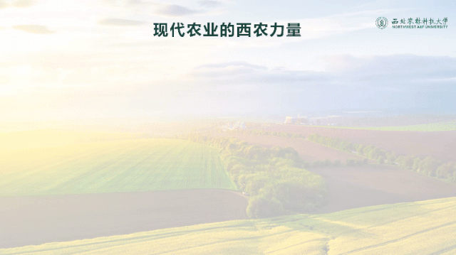现在学校招生宣传PPT都做的这么好看啦! PPT教程 现在学校招生宣传PPT都做的这么好看啦!