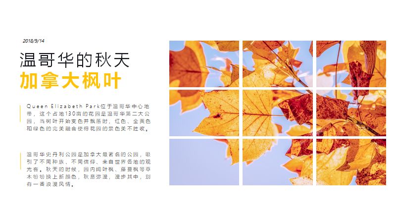 别人家都用了PPT外挂级神器!还有人居然不知道?! PPT教程 别人家都用了PPT外挂级神器!还有人居然不知道?!