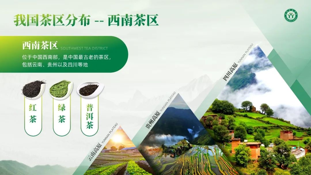 PPT教程  【教程】学会这4个版式技巧，多图排版不再单调