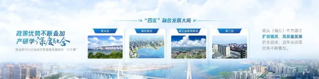 PPT教程  【复盘】给家乡做了一份招商推介会，宽屏真美