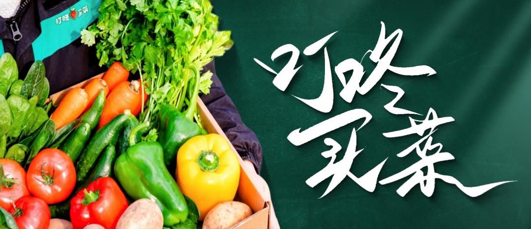 【复盘】给叮咚买菜做了一份品牌PPT，超赞的深色系