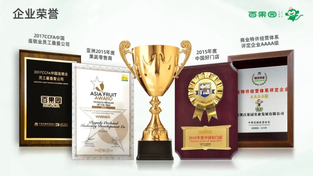 PPT教程  【教程】荣誉页PPT做好这四个加，排版简单又好看