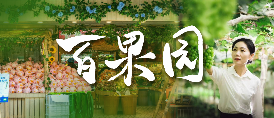 PPT教程  【复盘】给百果园做了一份品牌介绍PPT，logo绿真好看
