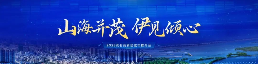 PPT教程  【复盘】给茂名做了一份城市推介会，宽屏科技够大气