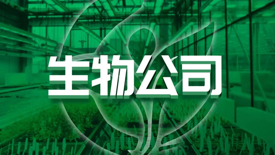 【读者投稿】读者的一份生物公司简介PPT，被我给整“绿”了
