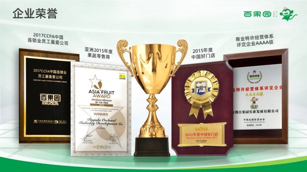 PPT教程  【教程】荣誉页PPT做好这四个加，排版简单又好看