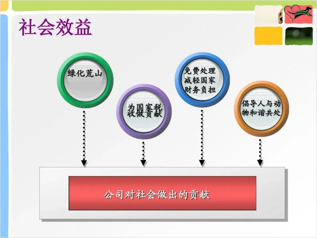 绝了,PPT配色这样用,好看又不失高级感! PPT教程 绝了,PPT配色这样用,好看又不失高级感!