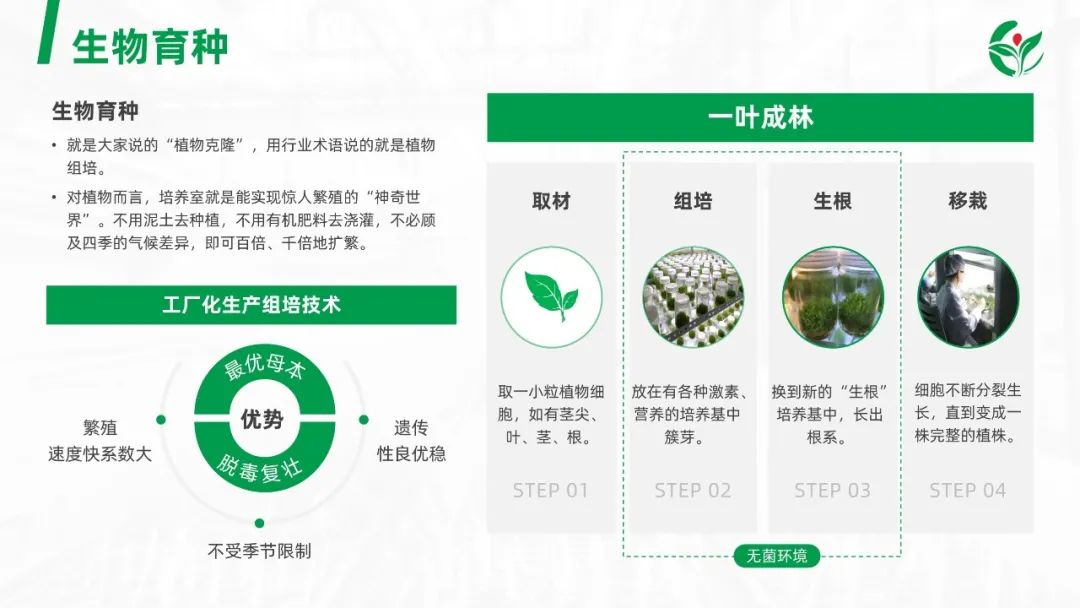 【读者投稿】读者的一份生物公司简介PPT,被我给整“绿”了 PPT教程 【读者投稿】读者的一份生物公司简介PPT,被我给整“绿”了