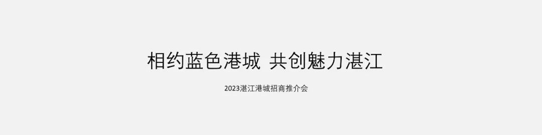 PPT教程  【复盘】给家乡做了一份招商推介会，宽屏真美