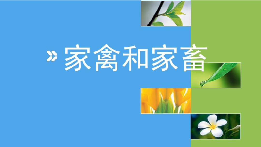 如何利用剪影元素设计PPT?做出高级感页面,非常有创意! PPT教程 如何利用剪影元素设计PPT?做出高级感页面,非常有创意!