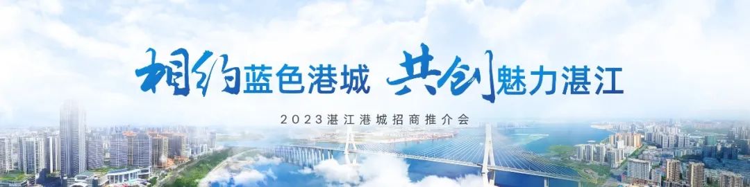 PPT教程  【复盘】给家乡做了一份招商推介会，宽屏真美