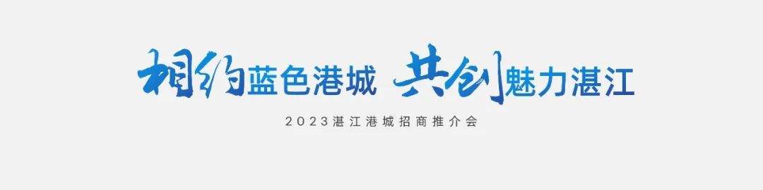 PPT教程  【复盘】给家乡做了一份招商推介会，宽屏真美