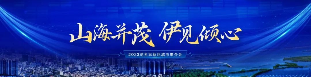 PPT教程  【复盘】给茂名做了一份城市推介会，宽屏科技够大气