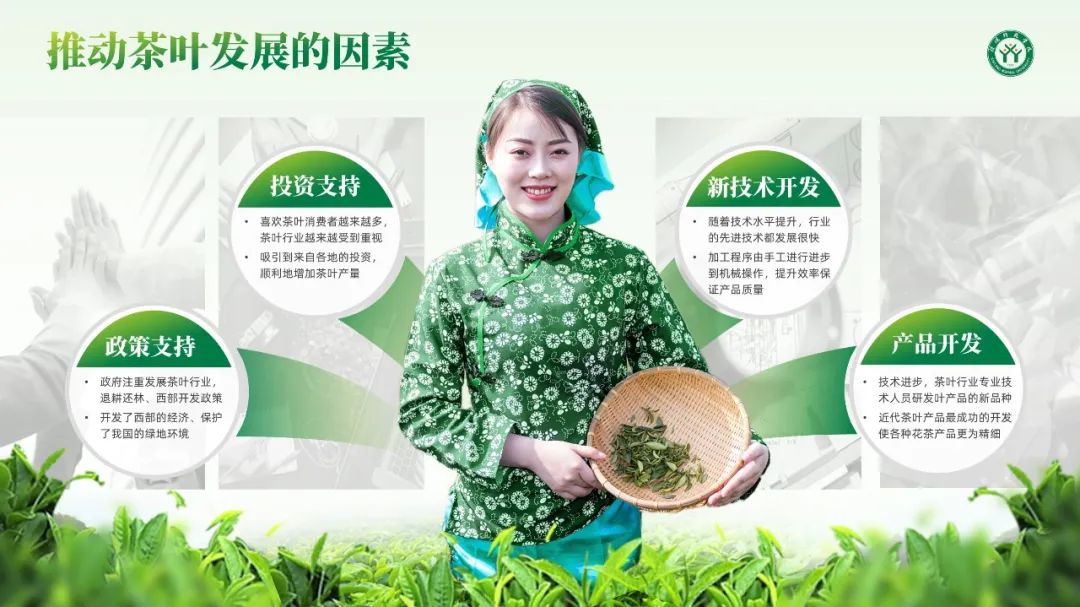 【版式设计】09期 PPT用上中心两侧排版技巧后,实在是太卷了 PPT教程 【版式设计】09期 PPT用上中心两侧排版技巧后,实在是太卷了