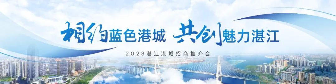 PPT教程  【复盘】给家乡做了一份招商推介会，宽屏真美