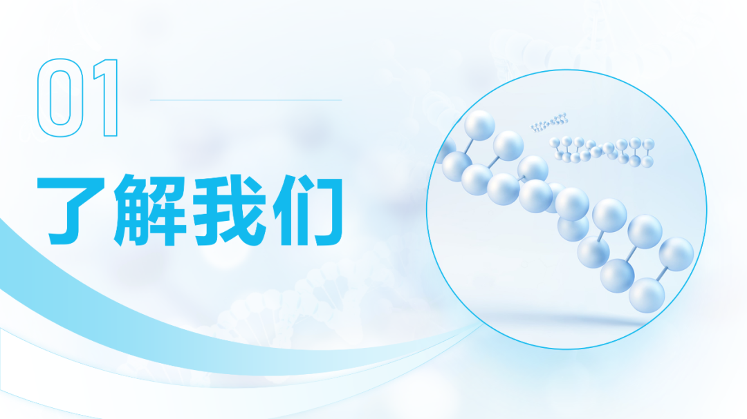 PPT教程  被客户Pass掉的风格，也有我的巧思在里面！