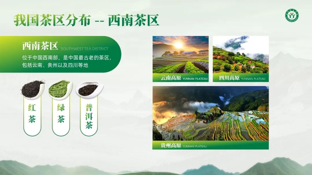 PPT教程  【教程】学会这4个版式技巧，多图排版不再单调