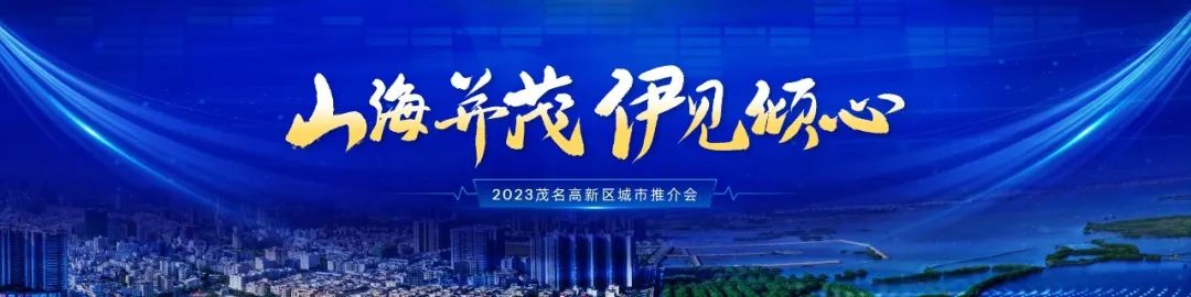 PPT教程  【复盘】给茂名做了一份城市推介会，宽屏科技够大气