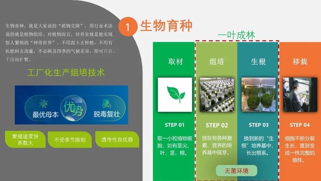 【读者投稿】读者的一份生物公司简介PPT,被我给整“绿”了 PPT教程 【读者投稿】读者的一份生物公司简介PPT,被我给整“绿”了