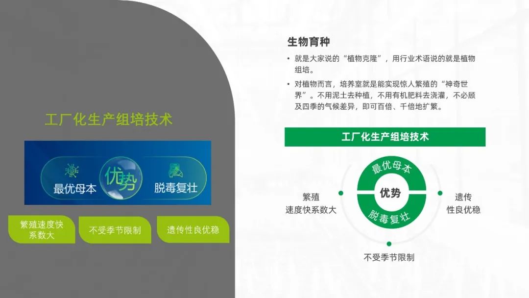 【读者投稿】读者的一份生物公司简介PPT,被我给整“绿”了 PPT教程 【读者投稿】读者的一份生物公司简介PPT,被我给整“绿”了