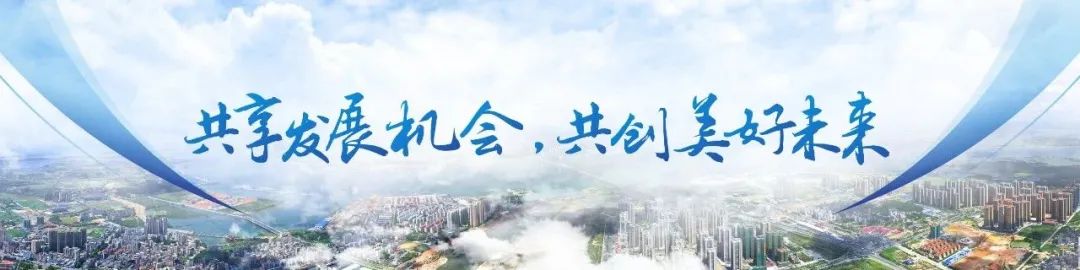 PPT教程  【复盘】给家乡做了一份招商推介会，宽屏真美
