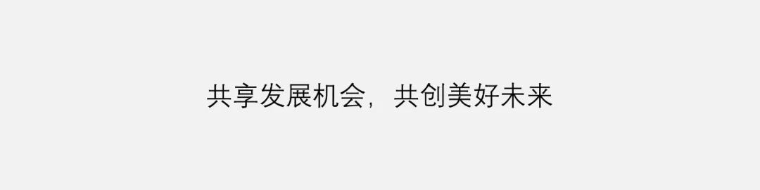 PPT教程  【复盘】给家乡做了一份招商推介会，宽屏真美