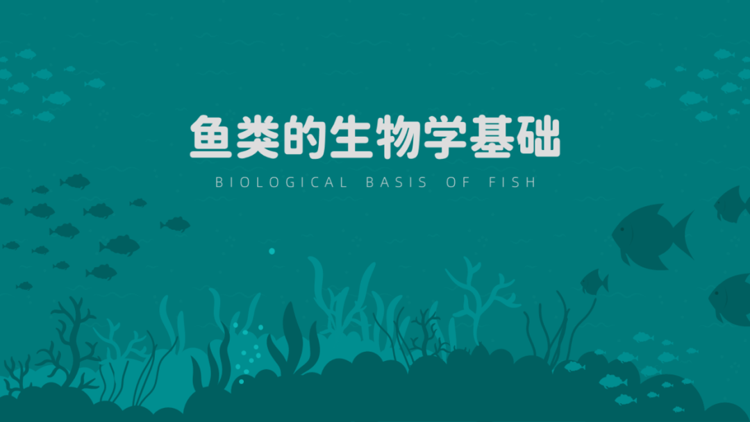 如何利用剪影元素设计PPT?做出高级感页面,非常有创意! PPT教程 如何利用剪影元素设计PPT?做出高级感页面,非常有创意!