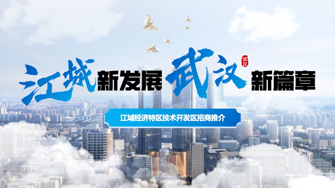 江城经济特区技术开发区招商推介PPT模板免费下载