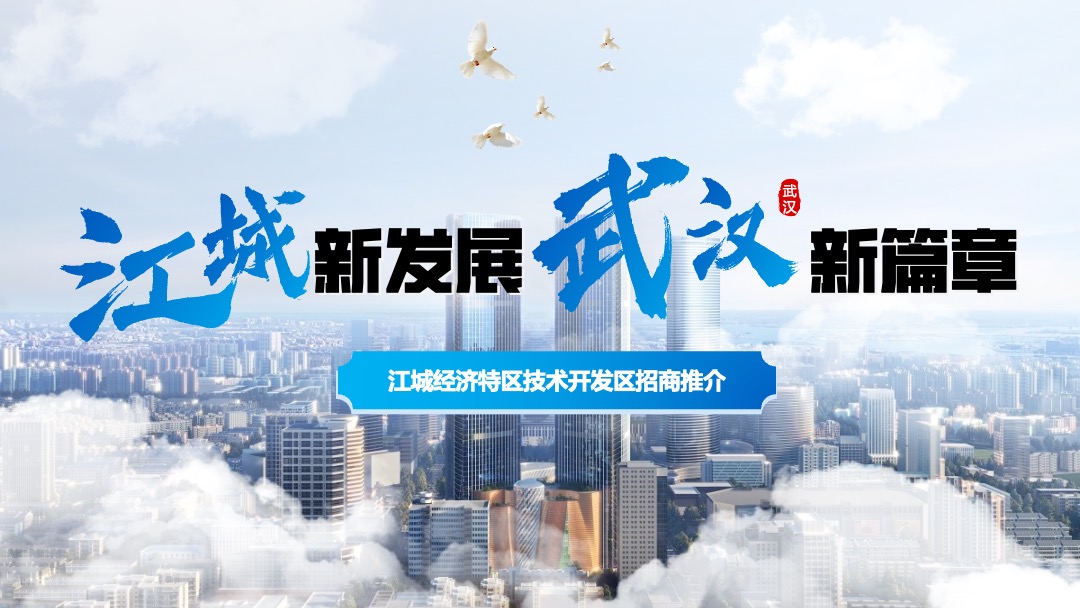 江城经济特区技术开发区招商推介PPT模板免费下载 Flower Design PPT模板 江城经济特区技术开发区招商推介PPT模板免费下载
