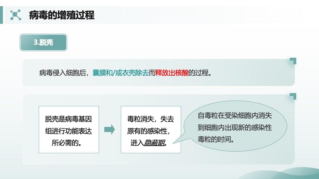 兽用生物制品生产技术病毒的增殖过程PPT模板免费下载 PPT模板 兽用生物制品生产技术病毒的增殖过程PPT模板免费下载