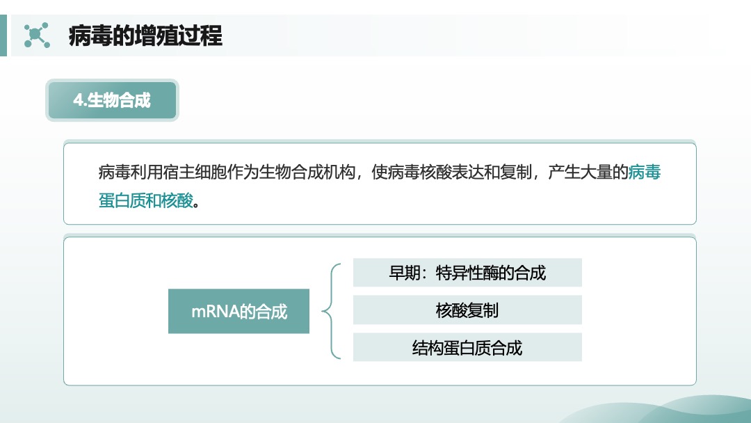 兽用生物制品生产技术病毒的增殖过程PPT模板免费下载 PPT模板 兽用生物制品生产技术病毒的增殖过程PPT模板免费下载
