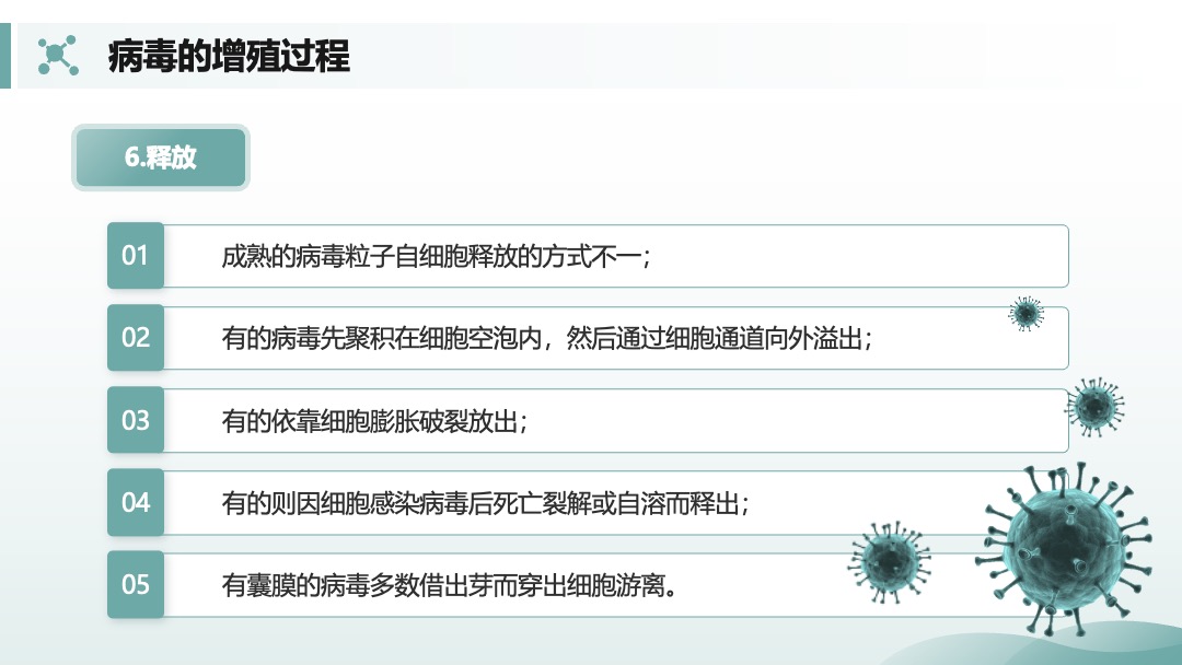兽用生物制品生产技术病毒的增殖过程PPT模板免费下载 PPT模板 兽用生物制品生产技术病毒的增殖过程PPT模板免费下载