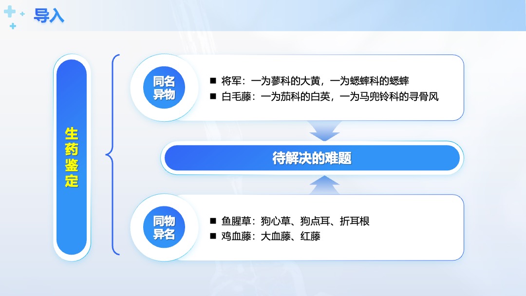 医疗行业中兽药生产技术生药鉴定意义PPT模板免费下载 PPT模板 医疗行业中兽药生产技术生药鉴定意义PPT模板免费下载