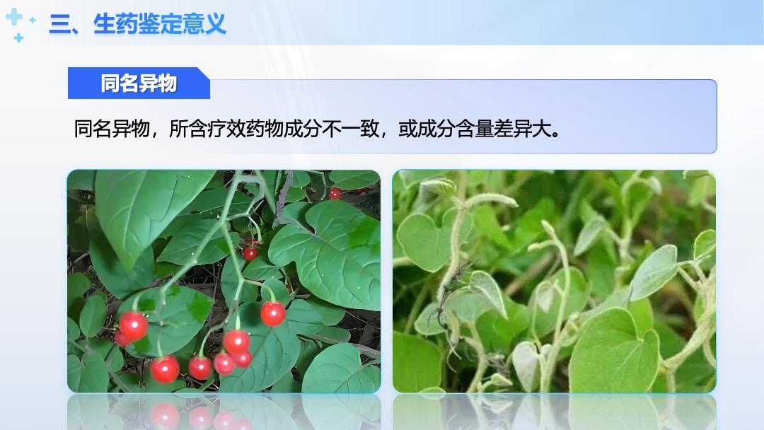 医疗行业中兽药生产技术生药鉴定意义PPT模板免费下载 PPT模板 医疗行业中兽药生产技术生药鉴定意义PPT模板免费下载