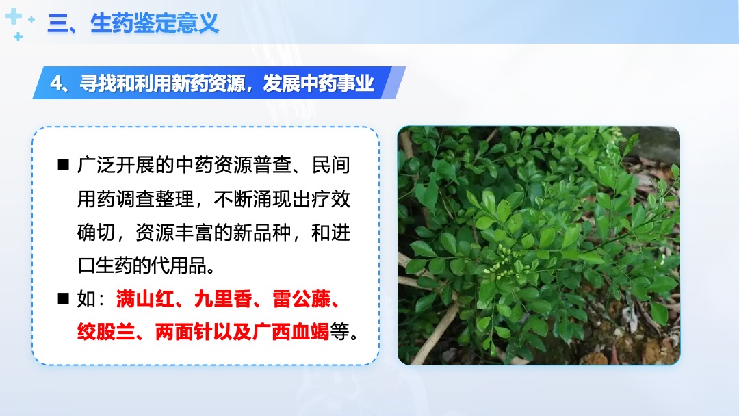 医疗行业中兽药生产技术生药鉴定意义PPT模板免费下载 PPT模板 医疗行业中兽药生产技术生药鉴定意义PPT模板免费下载