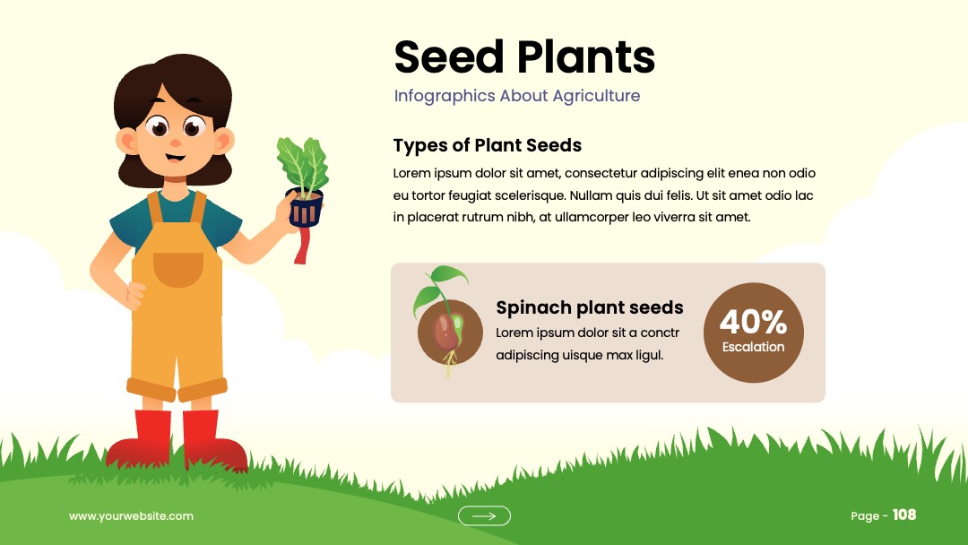 植物种子类型介绍PPT模板免费下载