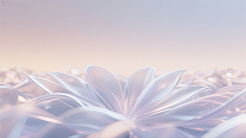 美业发布会背景 毛玻璃质感花瓣线条画面调感