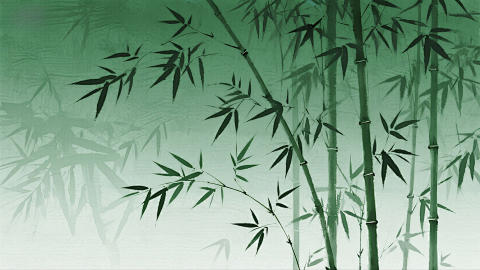 禅意留白 竹林影子极简艺术画面境