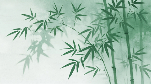 低饱和绿 竹林影子禅意极简画面围